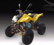 SK250ER-D ATV Quads
