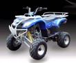 SK250 ATV Quads-2